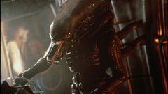 Xenomorph