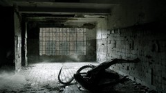 Xenomorph Aliens movie alien