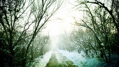 Xinjiang Province Snow