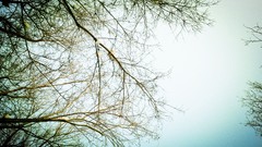 Xinjiang Province Snow