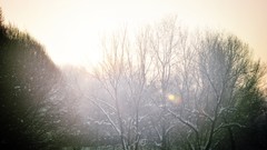 Xinjiang Province Snow