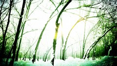 Xinjiang Province Snow