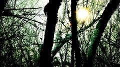 Xinjiang Province Snow