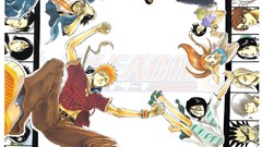 Yachiru kusajishi bleach kurosaki ichigo inoue orihime kuchiki 