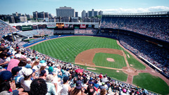 Yankee stadium field high