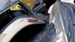 Yay avoided The deer