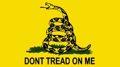 Yellow Gadsden flag