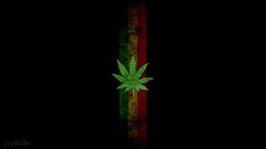 Yellow Green Weeds marijuana drugs digital art Red Line