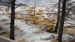 Yellow stone heisse quelle