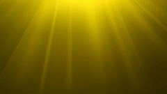 Yellow windows pdc rahul