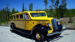 Yellowstone Park bus Car