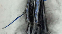 You are saving pics ynnead