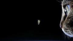 You but right that probably doesn uhoh