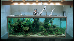 You Don but just let bigtank discourage