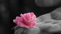 You enjoy This epic brought megaclich