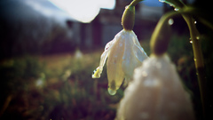 You enjoyed and that