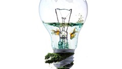 You funny was bulb that what meant