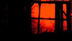 You homo firemountain Last