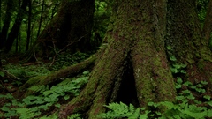 You like these types