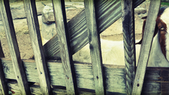 You looking for struggling