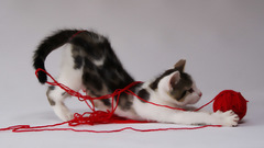 You original content give lov skizy