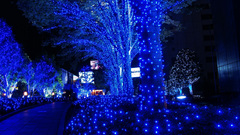 You said mainly blue