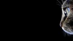 You The was This dont put least couldve