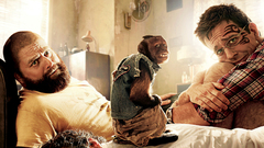 Zach galifianakis Bradley Cooper