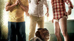 Zach galifianakis monkeys Bradley