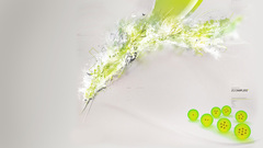 Zcomplex awesome feather abstract