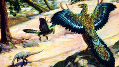 Zdenek Burian Archaeopteryx artwork