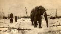 Zdenek Burian mammoth