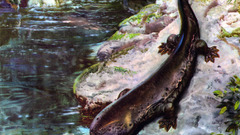 Zdenek Burian paintings giant