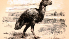 Zdenek Burian prehistoric