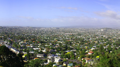 Zealand polloc moar high