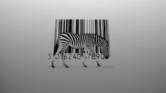 Zebras barcode