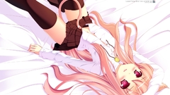 Zero no tsukaima animal