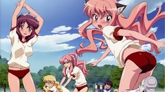 Zero no tsukaima animal