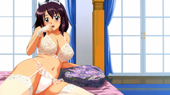 Zero no tsukaima henrietta