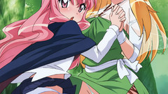 Zero no tsukaima Louise