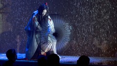 Ziyi Zhang Memoirs of