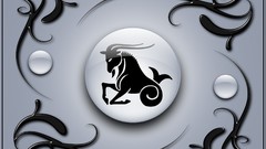 Zodiac Capricorn Capricorn Zodiac