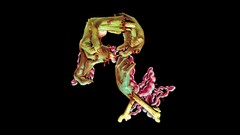 Zombies rockstar games logos limbs