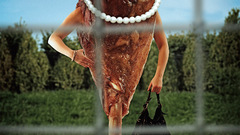 Zoo bts drumstick high