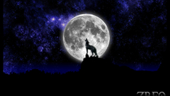 Zreo zelda reorchestrated Anime