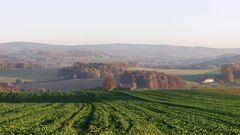 Zwickau erzgebirge high