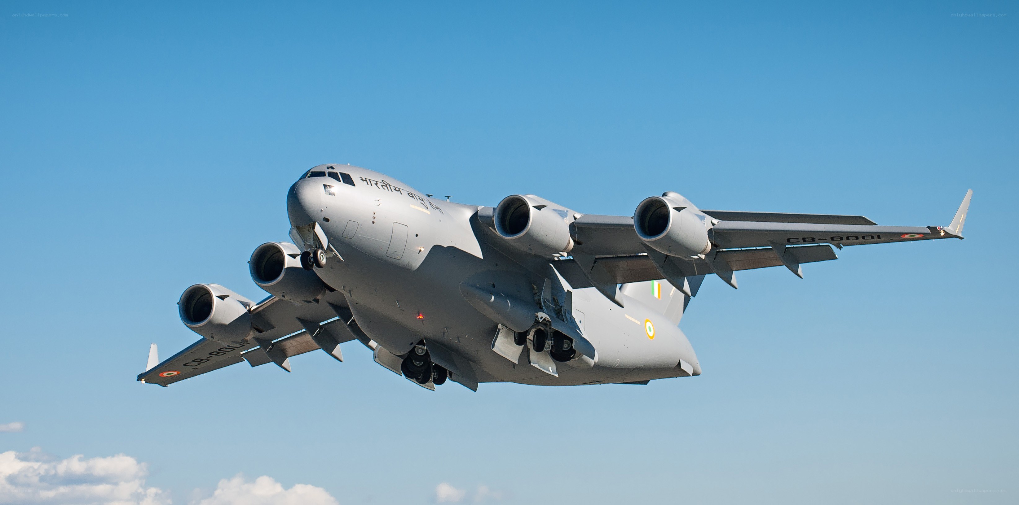Indian Air Force C-17 Globemaster