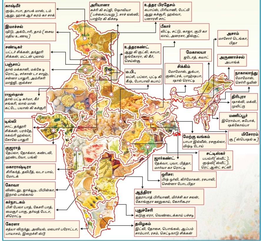 Indian cuisine map