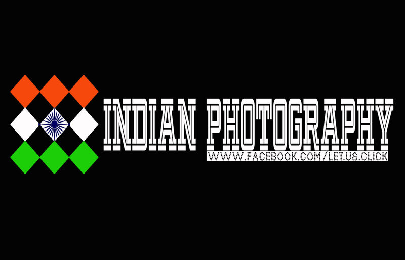 Indian Flag Logo