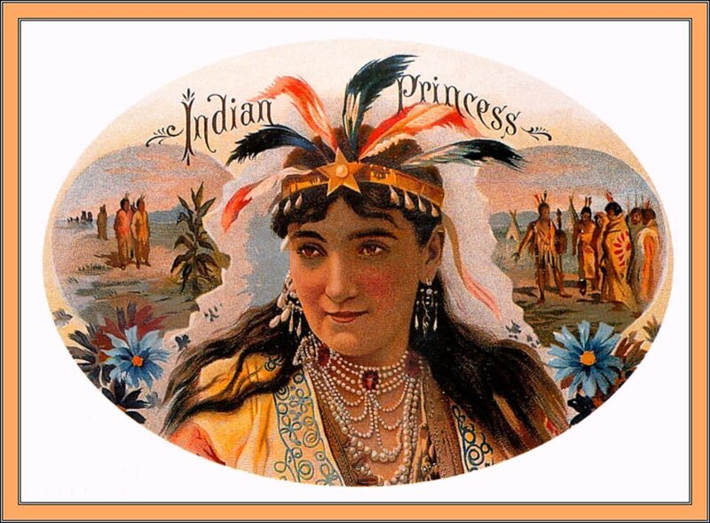 Indian Princess Portrait